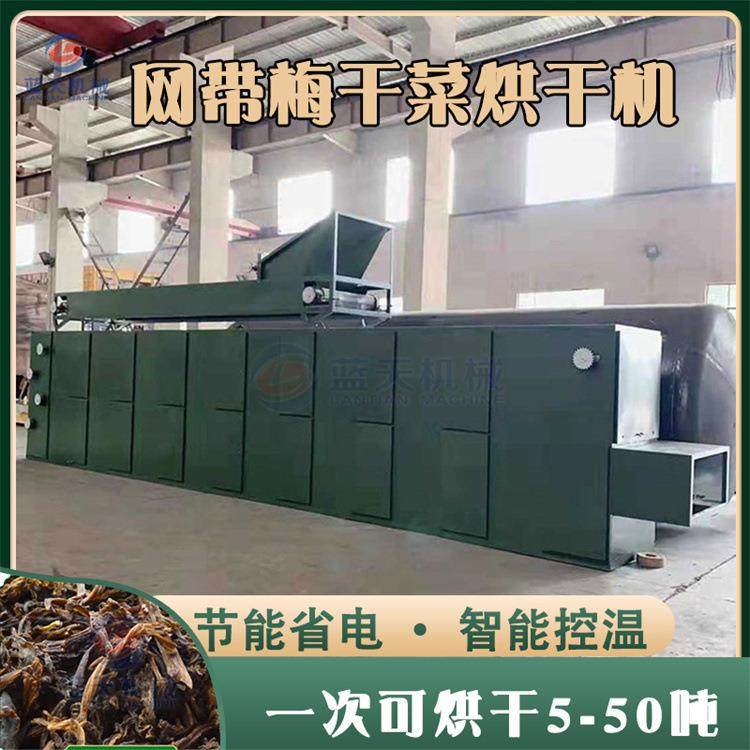 网带式梅干菜烘干机 干冬菜烧颗粒干燥机 用盐腌制梅干菜烘干设备,机械设备,干燥机/干燥箱/烘干机,淘宝优惠券,粉丝福利购,淘宝优惠卷