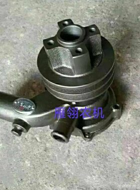 柴041水泵1007水泵发动机D0-玉原厂10C4D配件813发动机B3Y7