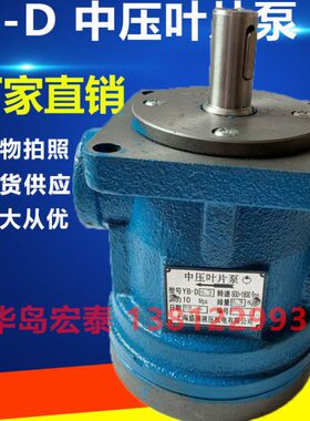 BB Y Y10D--0B0D3 -3BD叶片泵-中叶片泵 Y Y0-2D压车辆10BD Y86