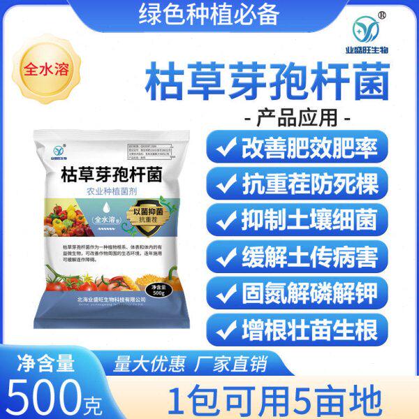 溶业盛旺枯芽孢杆菌青根姜烂根枯萎生草瘟根腐抗重茬全枯水
