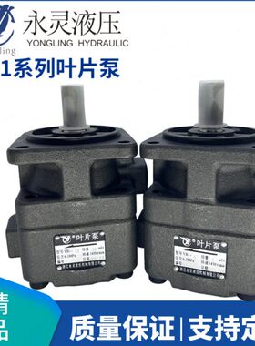 /12/05仙10/20-1083210./B/油泵/Y16255叶片泵3/.//居永灵61263/