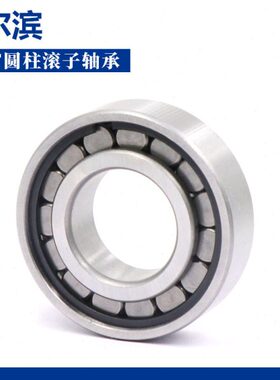 哈尔滨 滚圆柱2020208V 20 620204子CF2020  7N39512 轴承 21 210