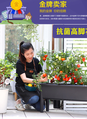 阳台种菜盆长方形家庭楼顶灰色种植箱长条K花盆蔬菜栽培槽种菜神