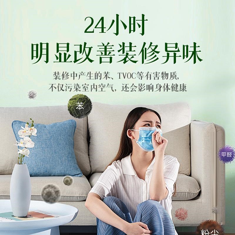 除甲醛果冻新房家用去吸异味清除剂强力型空气净化器魔盒 3个装