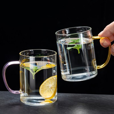 玻璃茶杯套装6只客厅泡绿茶专用杯子家用喝水一家人区分水杯带把