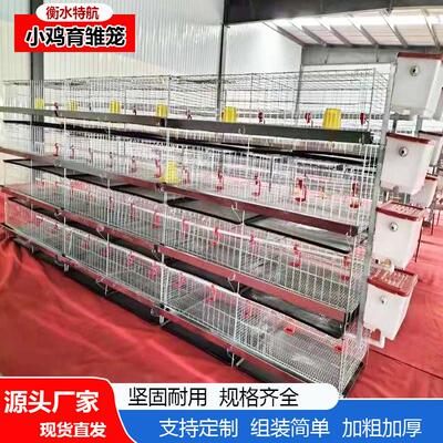 四层叠式镀锌丝加粗加密小鸡笼育雏笼加固养殖孵化小鸡笼