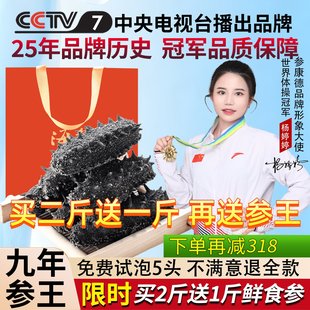 参康德大连野生淡干海参9年特价250g两份500g底播辽参干货旗舰店