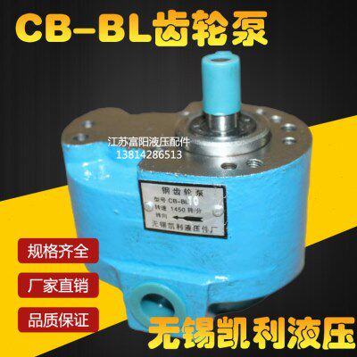 润滑泵BB 液压油-BB齿轮泵BLBL6锡BL16无-C利锯床 钢4泵10凯 25C