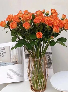 橙色多头泡泡玫瑰云p南基地直发水养鲜花送亲友朋友情人节