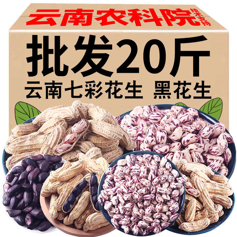 2024新云南七彩野地花生带