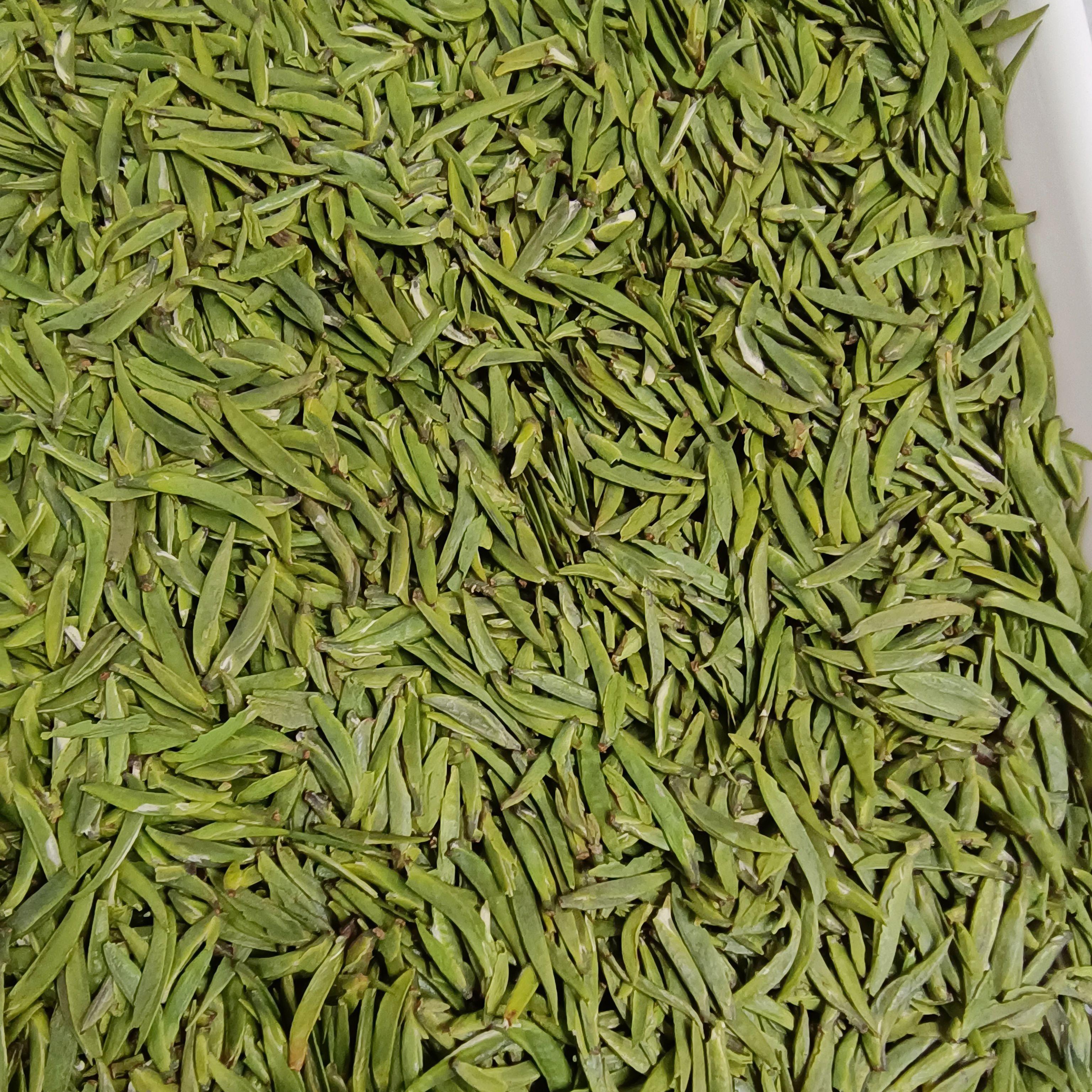 2025年新茶上市万源大巴山明前雀舌春茶绿茶4克小袋装现炒现卖