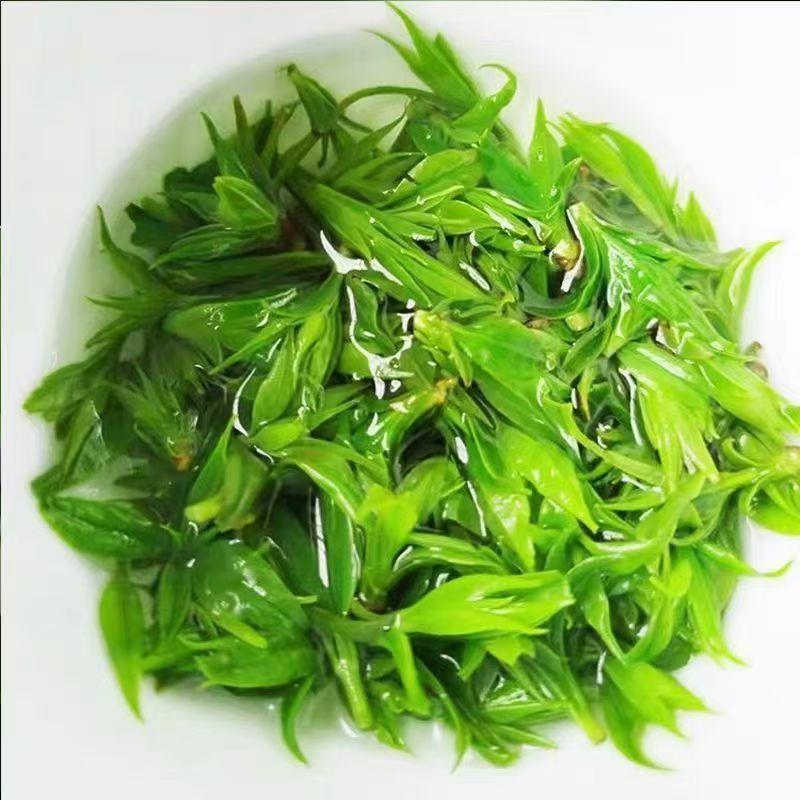 小叶苦丁茶叶2025新茶四川峨眉山野生正品青山米芽绿水嫩芽花草茶