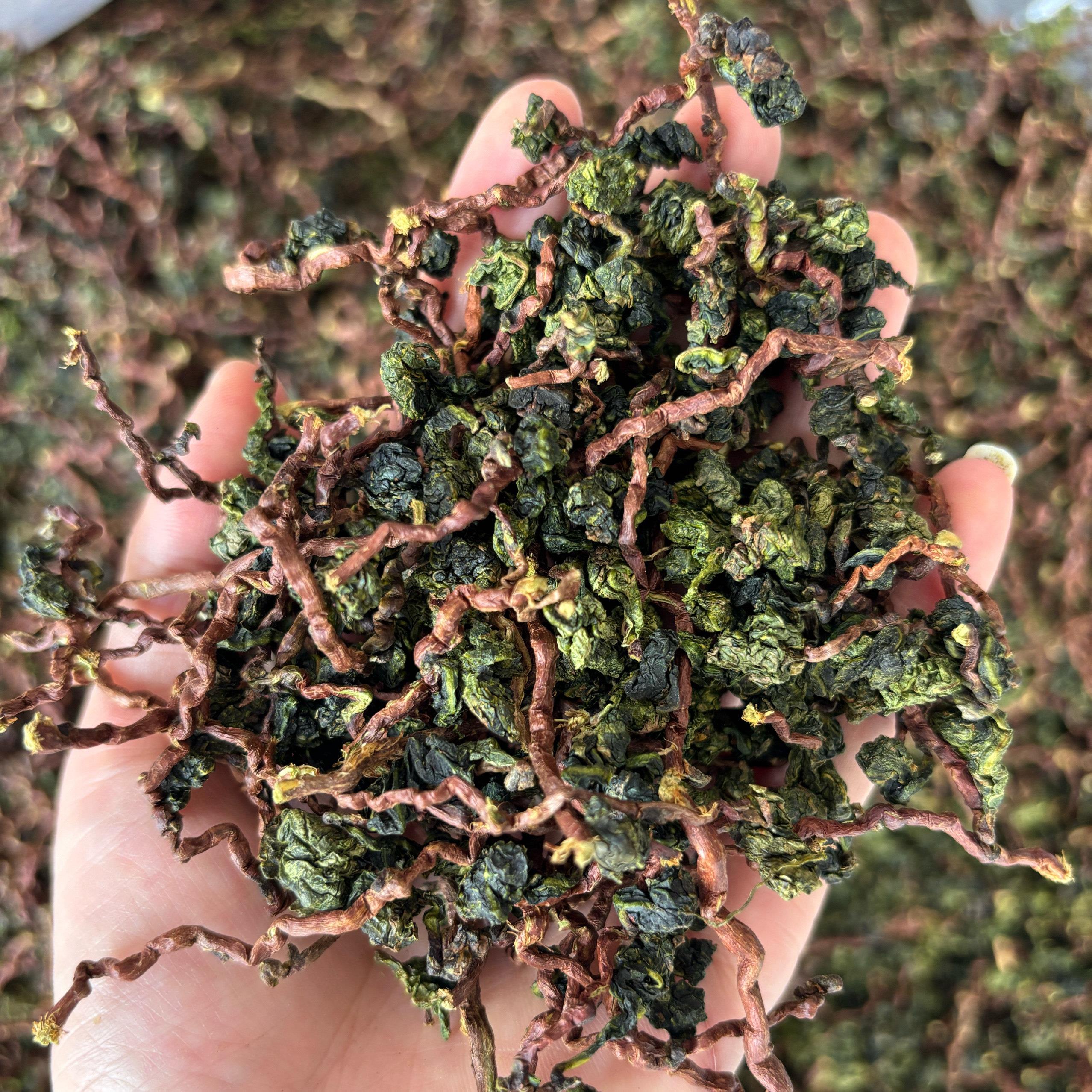 2025新茶毛茶安溪铁观音带茶梗新鲜茶叶拖酸工艺 颗粒结实