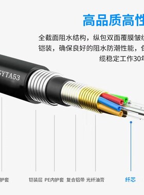 GYTA53/GYTZA5q3国标重铠直地埋通信光缆室外4-144芯单模光纤线