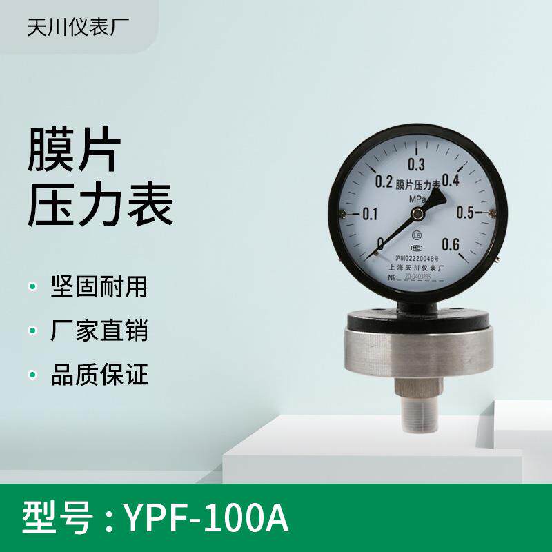 YPF-100A膜片压力表法兰膜片1.6MPa精度2.5M20*1.5上海仪表厂