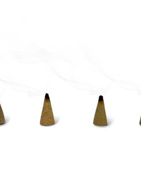 Incense cones鼠尾草塔香秘鲁圣木美国加州进口U空间清理烟熏锥香