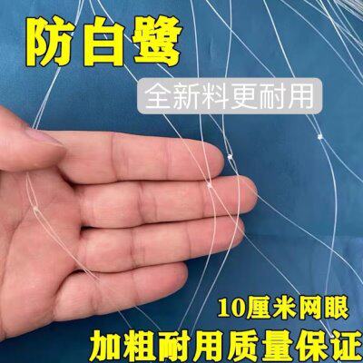 4公防鸟网分公防鸟网果园防鸟网分10大5防鸟网分养殖孔公鱼塘网