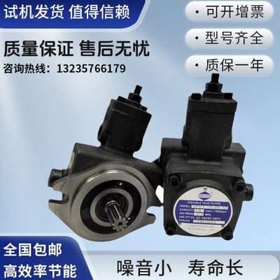 15/-30/V//V2P/P35叶片泵油泵V70///551V海8-402010-/12特克20