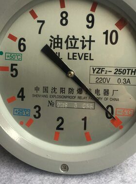 /ZS油-T变压器20式30ZY油位计F2H1表沈阳40F指针位玉国HT250 Y3YZ