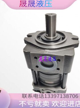 F G6-G0齿轮泵F 50N0T5航0F-G13F 啮合4G1TN25F 8F GG4上海内发0