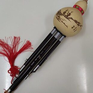 梅葫芦丝葫芦丝演奏专业配送入门红教套光录音包邮舞台零基础专用