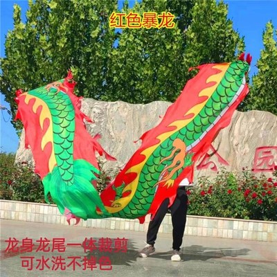 广场舞中老年人男女健身龙带甩A彩带中国舞龙塑料抗摔钢架龙头道