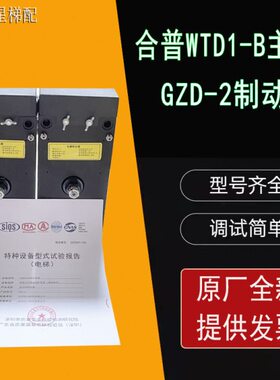 主机DZG日B全新T式制动器-港深圳块-抱闸 制动器1D合普W2电梯菱王