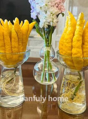 花盆创意水培器皿器佛手玻璃水插花陶瓷摆件养花观赏容培花瓶柑