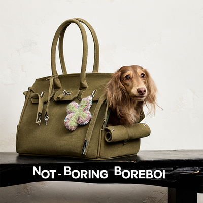 NB B丨宠物包便携出行可视 小型猫狗车载托特包防挣脱可手提斜跨