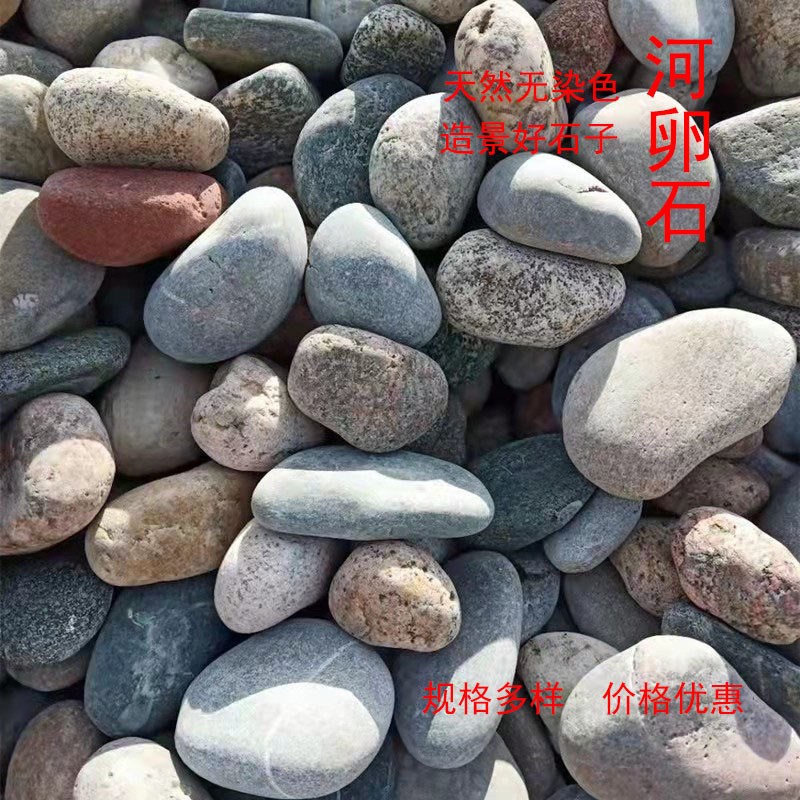 供应河卵石变压器垫层5-8公分D鹅卵石园林景观水处理用河卵石