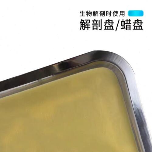 解剖盘 19*26cm蜡盘 初中高中生物实验器材学生用生物教学仪器