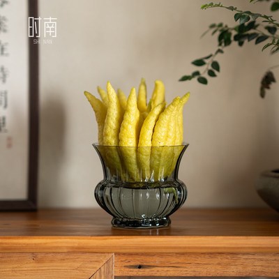 莲花水养佛手柑花瓶观赏佛手果专用水培器皿佛手T托盘摆件摆台花
