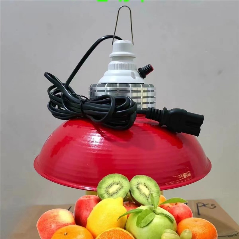 12v48v60v电瓶电动三轮车摆摊卖水果调色灯新款变色红光照明led灯