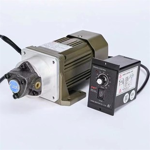 台湾技术 WYPP齿轮泵润滑油泵小型电动油抽90W无刷小电机齿轮箱