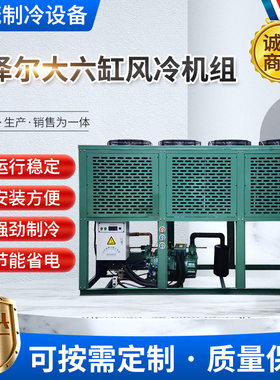 大六缸比泽尔制冷压缩机6H-25.2|25匹水冷 风冷式冷凝机组