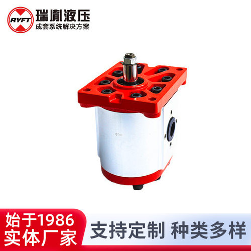 厂家供应瑞胤 质量稳定高转速 双向液压齿轮马达