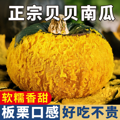 正宗贝贝南瓜板栗味南瓜宝宝辅食
