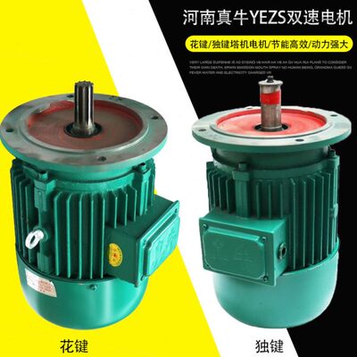 河南真牛电机YEZ132S-4/8-3.3/2.2KW塔机电机YEZ建筑电机1.5/2.8