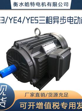 22W三相异步电动机YE3/YE4/YE5可开专票水泵风机308V电机机械