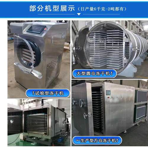 家用商用大小型真空冻干机品中草果蔬宠物食品冷冻干机干燥机