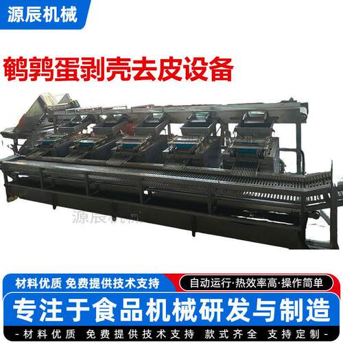 藤椒鹌鹑蛋蒸煮去壳机休闲蛋品预煮脱壳设备卤蛋清水蛋剥壳去皮设