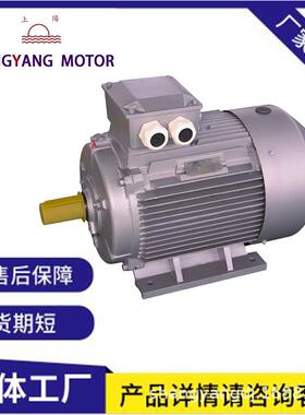 6极铜线满功率YE2电机37w45w55w三相异步电动机75w90w