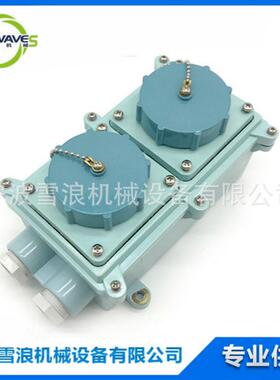 IMPA792766船用IEC防水标准双插插座蓝色工业插座RSIL2-3