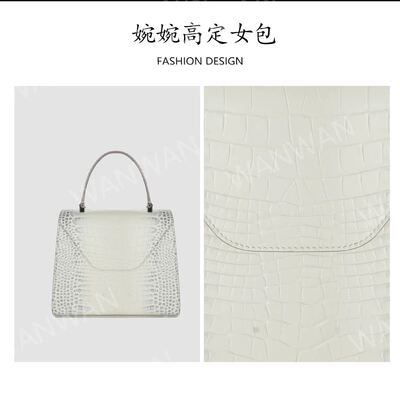 时尚百搭女士轻奢风单根手提款手拎包IF2255-喜马拉雅白