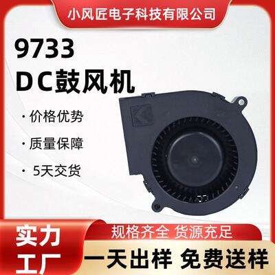 9733DC鼓风机12-24-48V双滚珠大风量鼓风机烧烤炉气模集成灶用