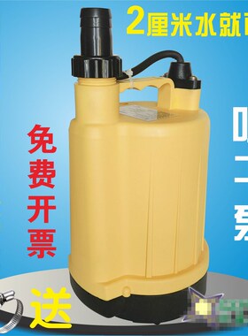 SPP100塑料泵花园泵r底吸抽水泵地下室积水低水位吸干 干泵清水潜