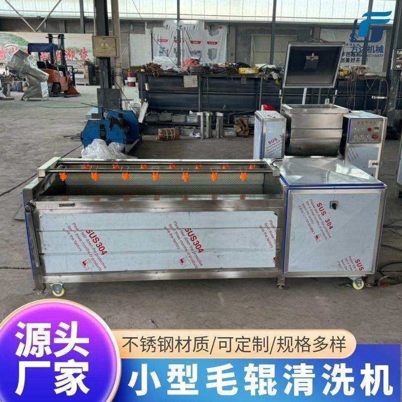大型马蹄荸荠毛辊清洗机 胡萝卜红薯莲藕去皮清洗机 海蛎子清洗机