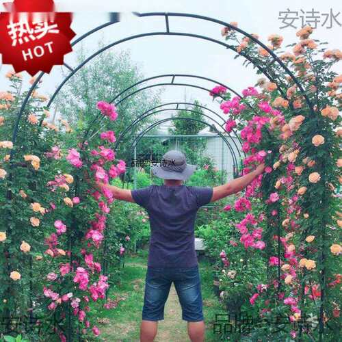 玫瑰室外铁制拱门花架爬藤架铁线莲藤月葡萄丝瓜铁艺加固型垒德株