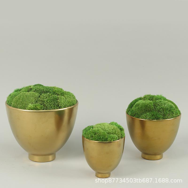 新中式永生苔藓盆景仿真植物盆栽青苔样板间酒店玄关装饰花艺摆件