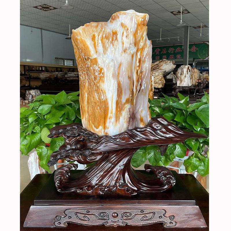 木化玉树化石奇石冰种树化玉原石桌面装饰木化石石大摆件